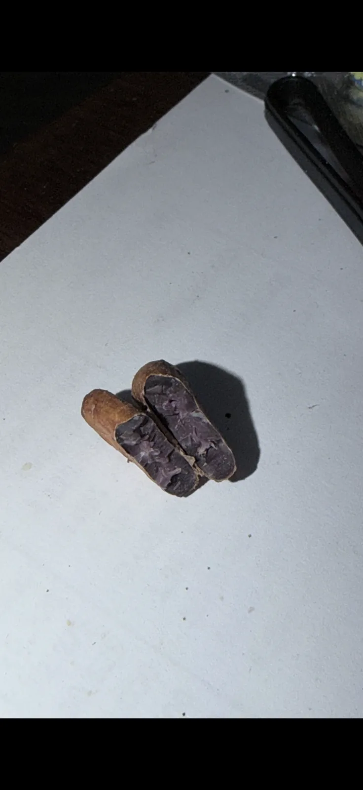 Agro Terra Export cocoa gallery 8